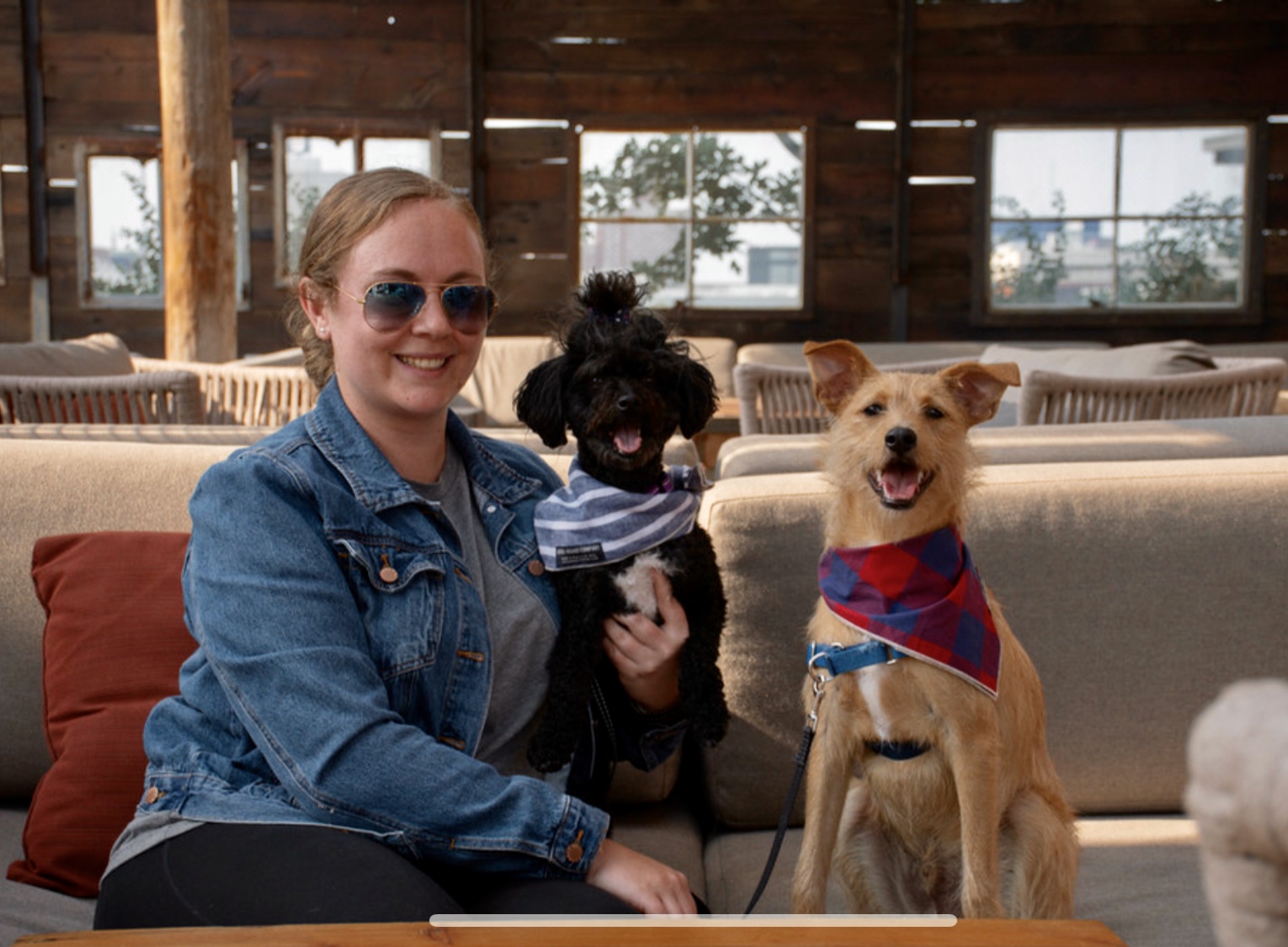 Brittany's pets relaxing at home